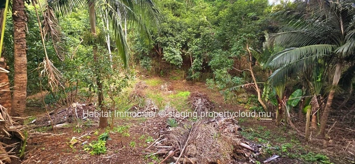 This beautiful residential plot of 225 toises (20 perches) is located in a private and intimate morcellement in Chamarel
