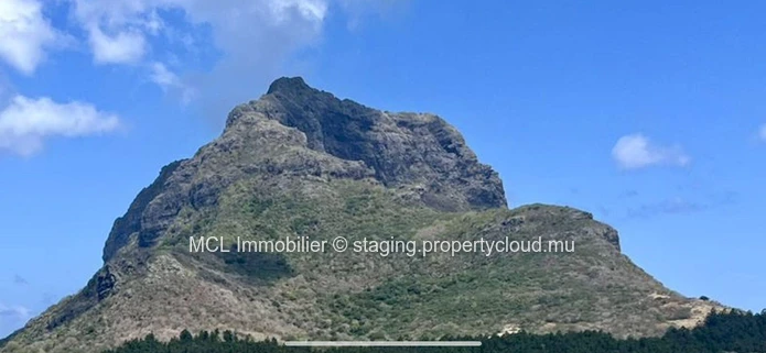 Terrain Agricole de 12 arpents à vendre au Morne