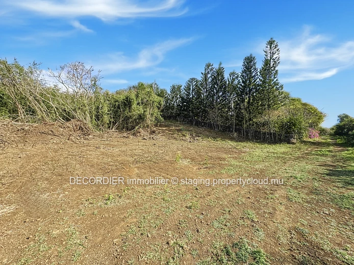 À Vendre La Salette Grand Baie Terrain Constructible