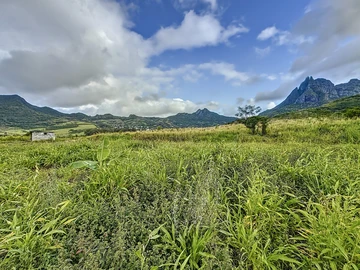 Terrain